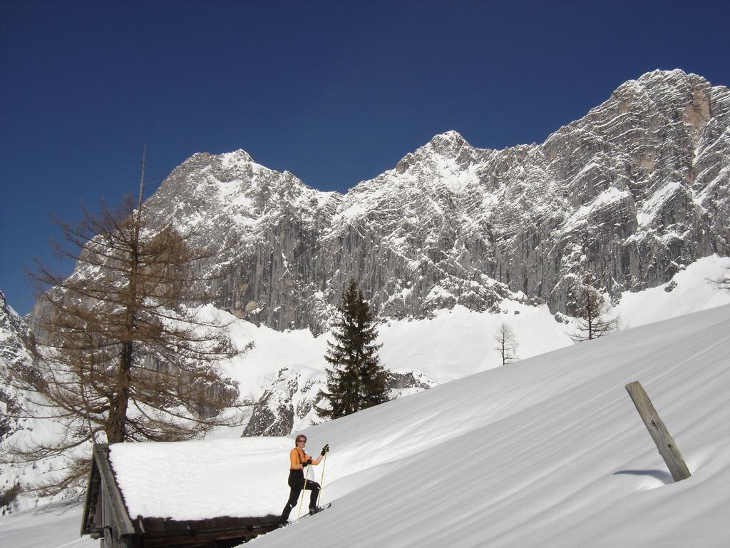 Gloesalm Apartment Ramsau am Dachstein Bilik gambar