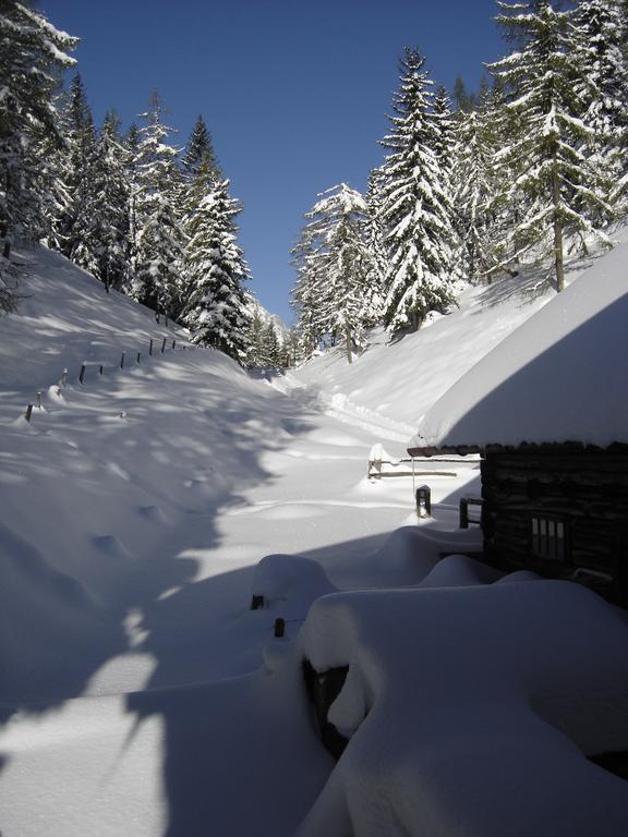 Gloesalm Apartment Ramsau am Dachstein Bilik gambar