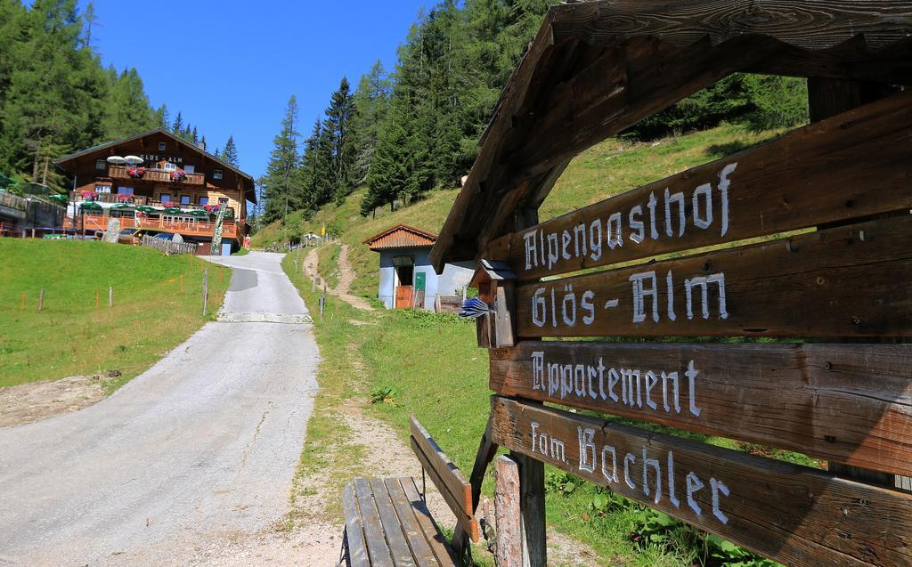 Gloesalm Apartment Ramsau am Dachstein Luaran gambar
