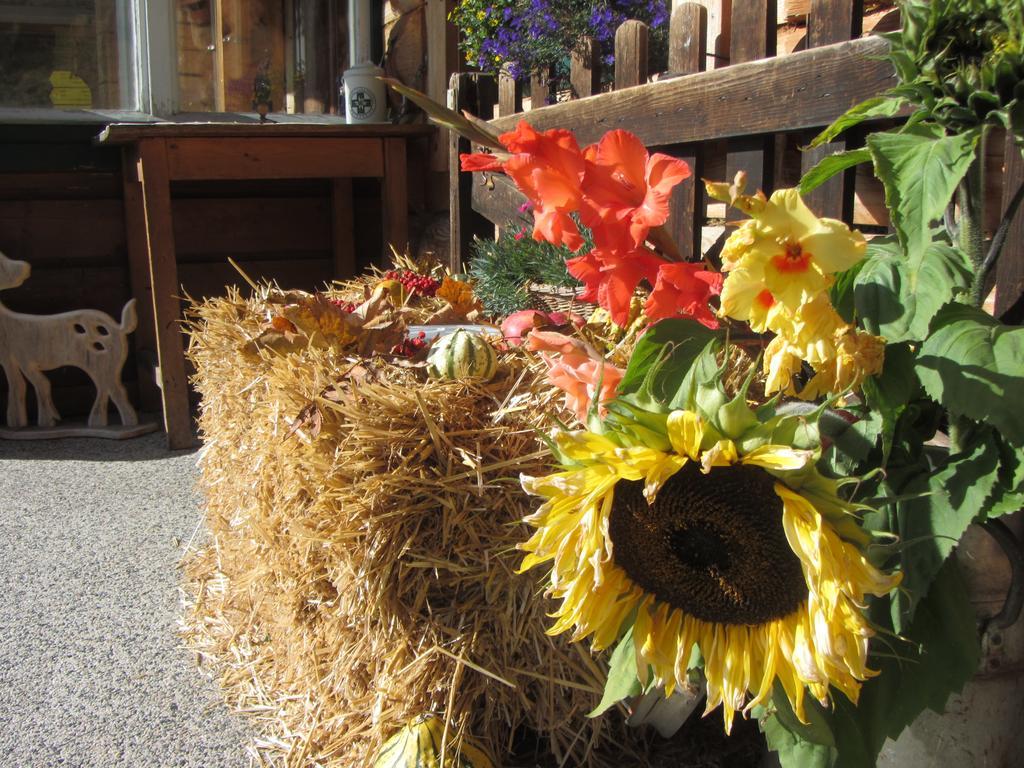 Gloesalm Apartment Ramsau am Dachstein Luaran gambar