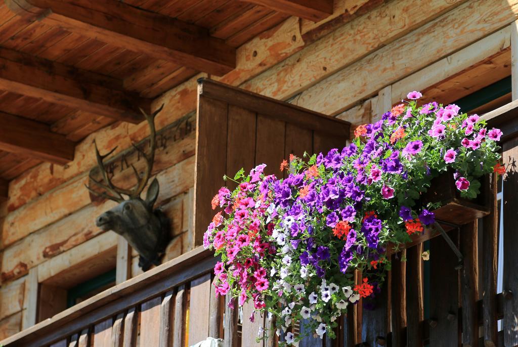 Gloesalm Apartment Ramsau am Dachstein Luaran gambar