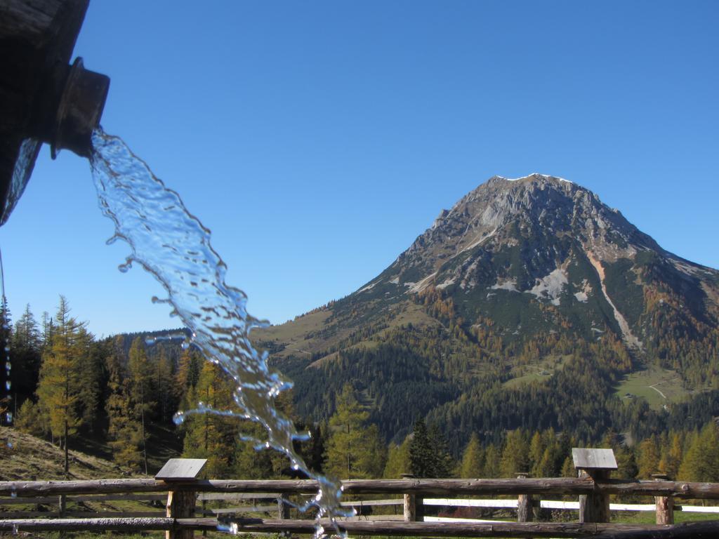 Gloesalm Apartment Ramsau am Dachstein Luaran gambar