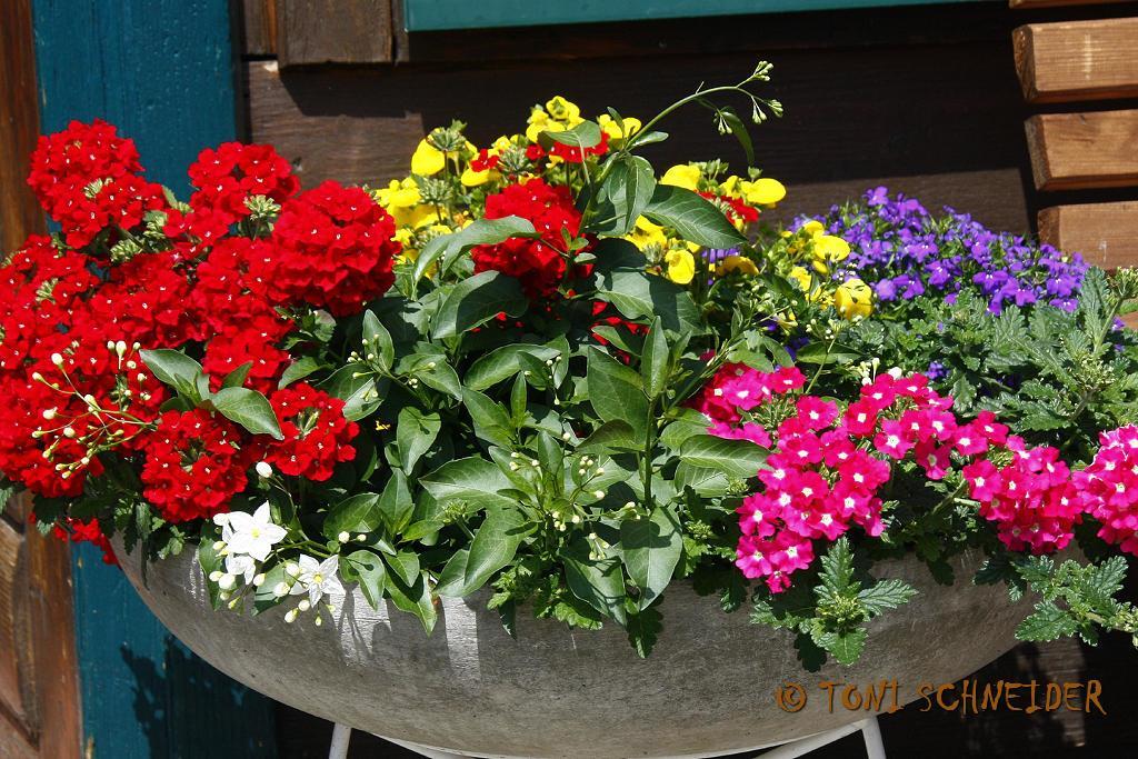 Gloesalm Apartment Ramsau am Dachstein Luaran gambar