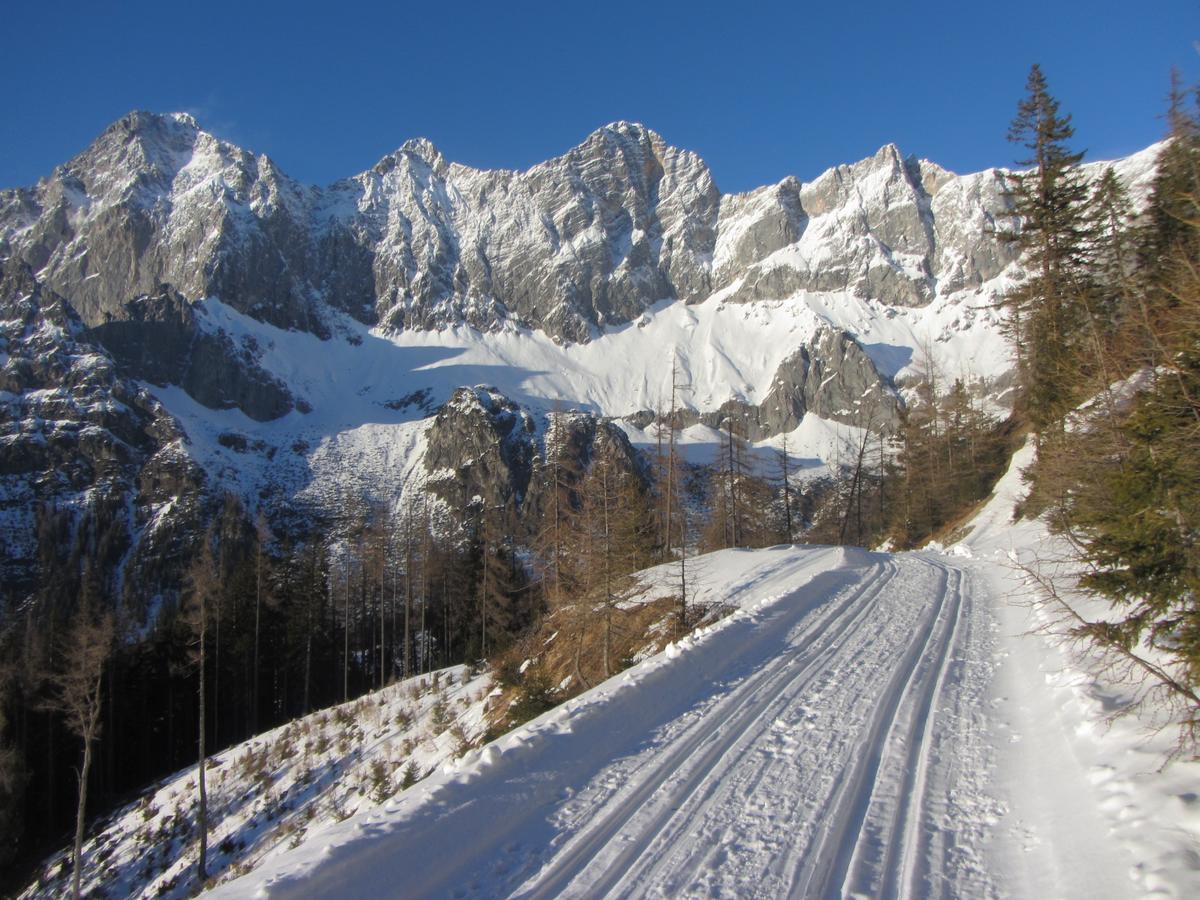 Gloesalm Apartment Ramsau am Dachstein Luaran gambar